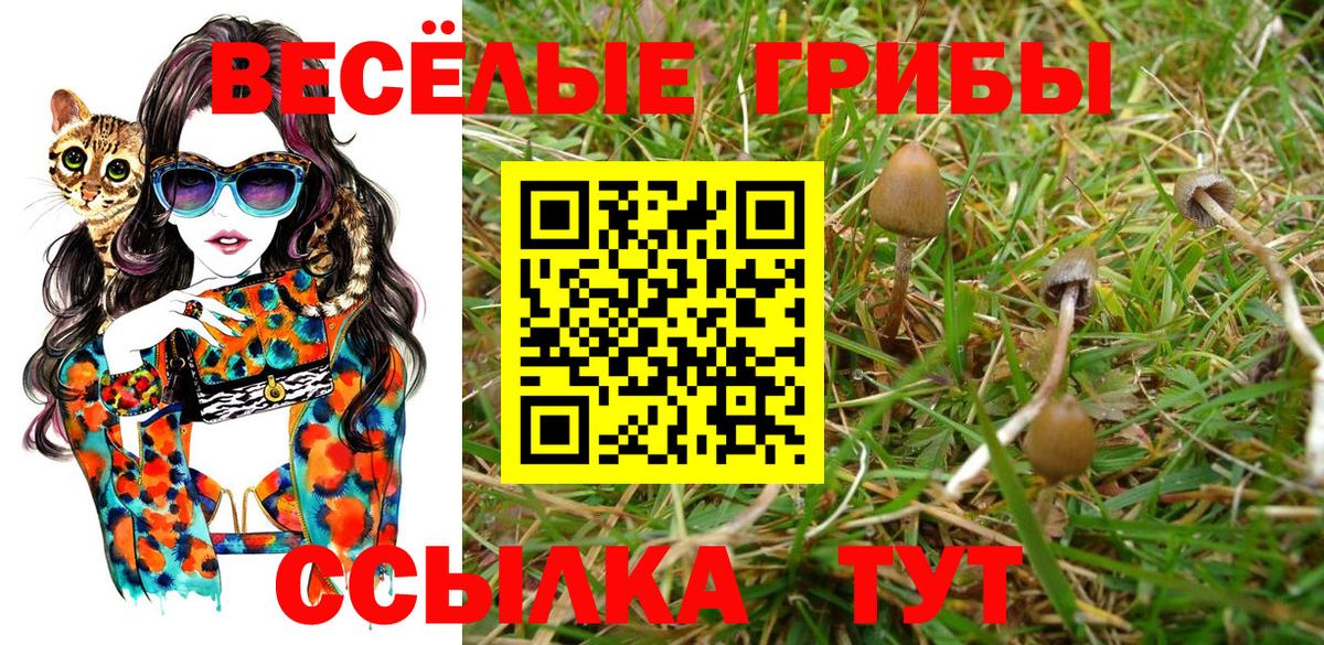 Галлюциногенные грибы мухоморы Новый Уренгой